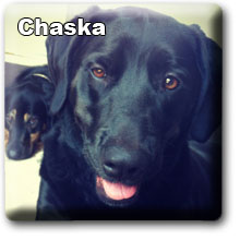 Chaska