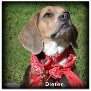 Dieter